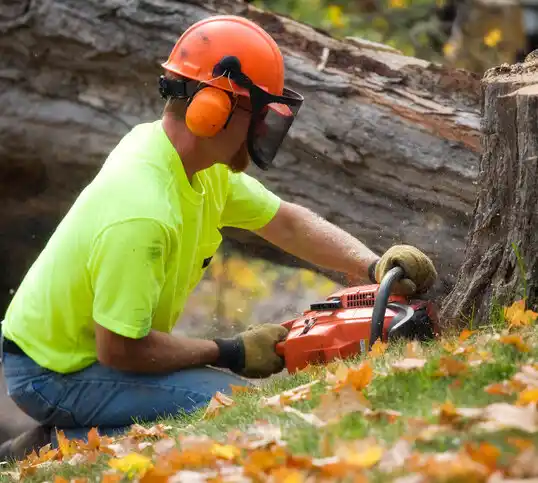 tree services Eldorado